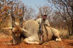 Eland taken with B&M rifle and CEB Projectiles